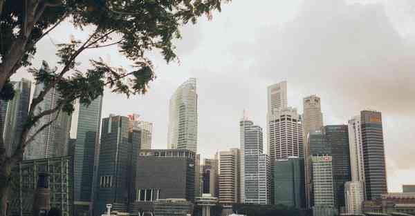 金融大数据的数据特点（金融大数据的数据特点是什么）