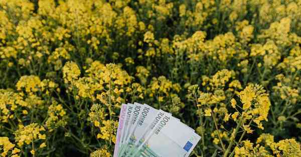 智能机器人与不锈钢