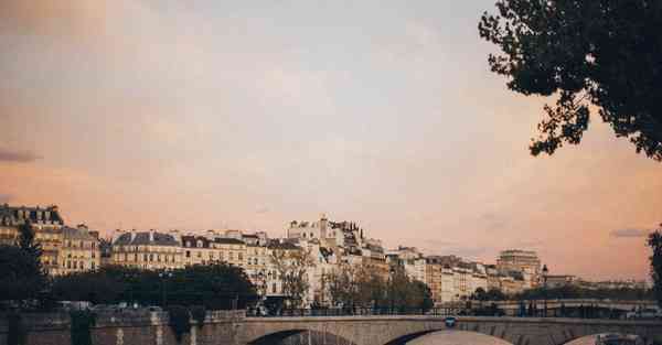 外国语单招大数据的行业文章