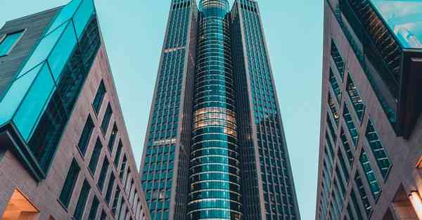 外国语单招大数据的行业文章