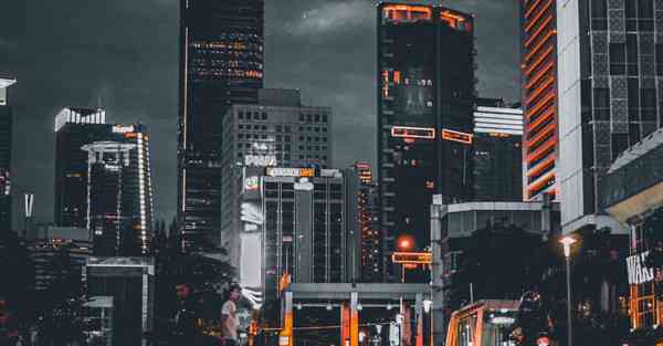 外国语单招大数据的行业文章