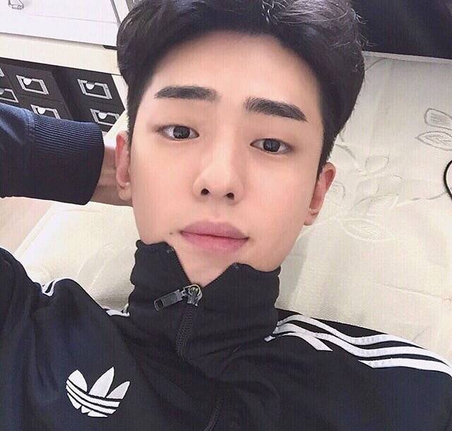 仲纯昭航