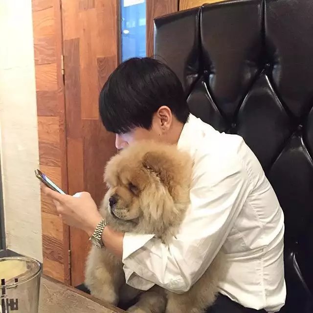 管瑶逸毅