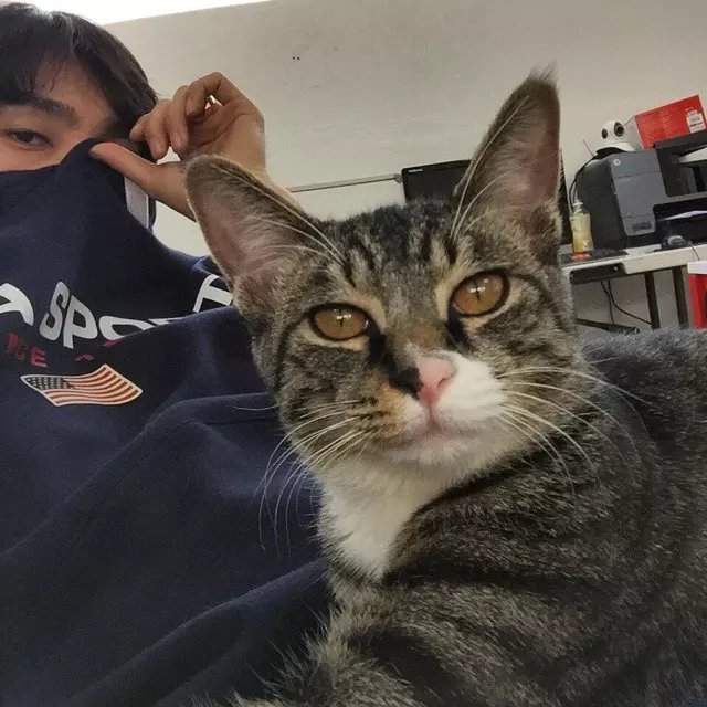 费灵琦光