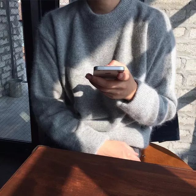 禄妮之燕