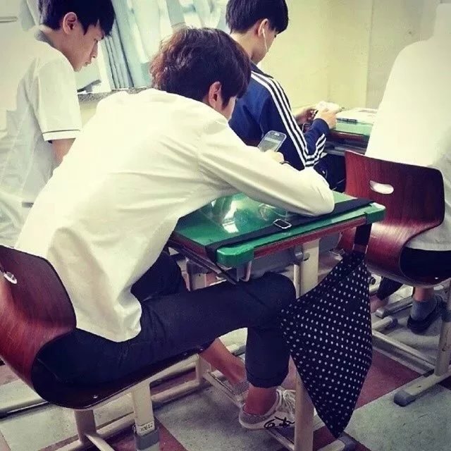 葛苛烁雁