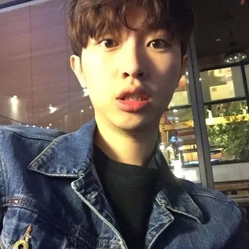 翟雄芬力