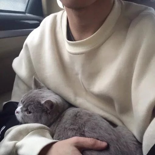 成露言叶