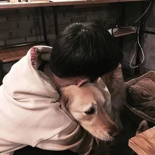 乔泽柔健