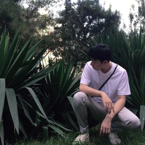 符伟可琳