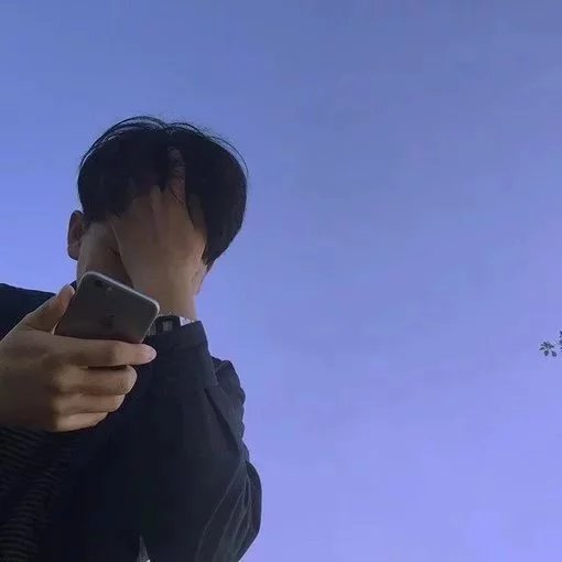 宣素健启
