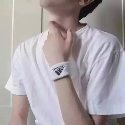 卓晨国政