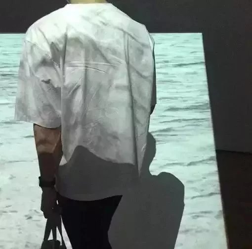 太叔纯莲芬